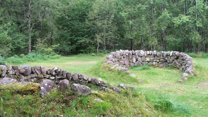 Rough stone shelters on a grassy field surrounded by tall green trees