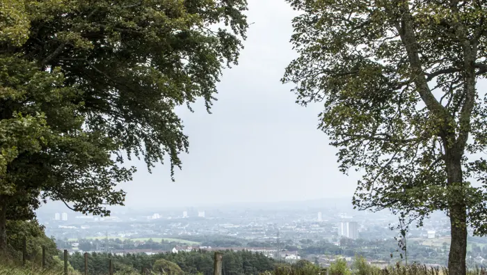 City visible in the distance that is framed by two trees in the foreground.