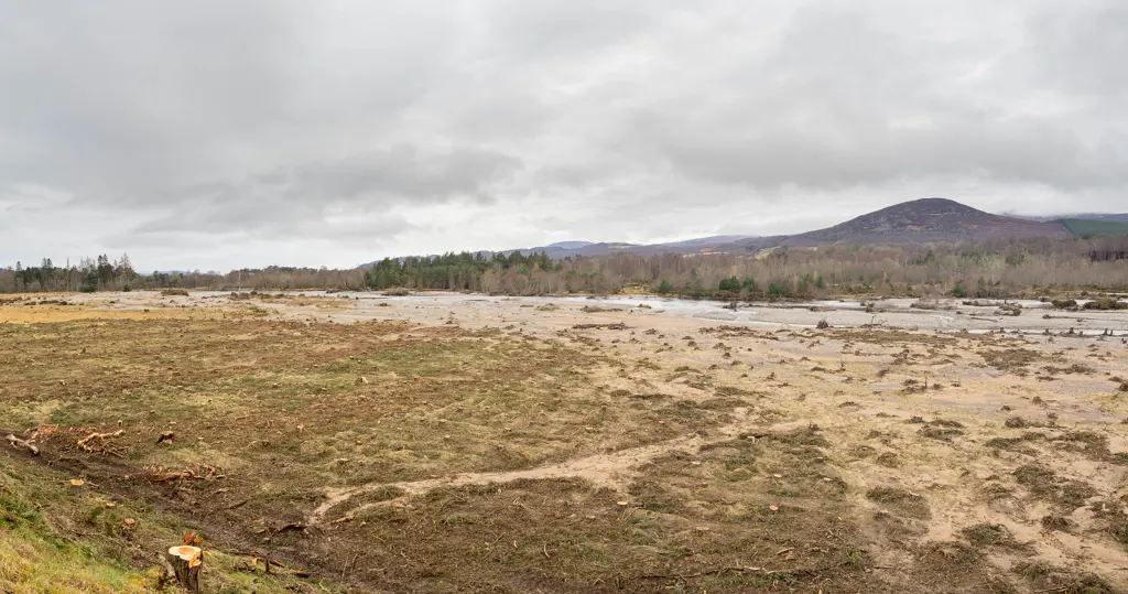 A felled riverside with mountains in the background.