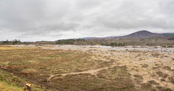 A felled riverside with mountains in the background