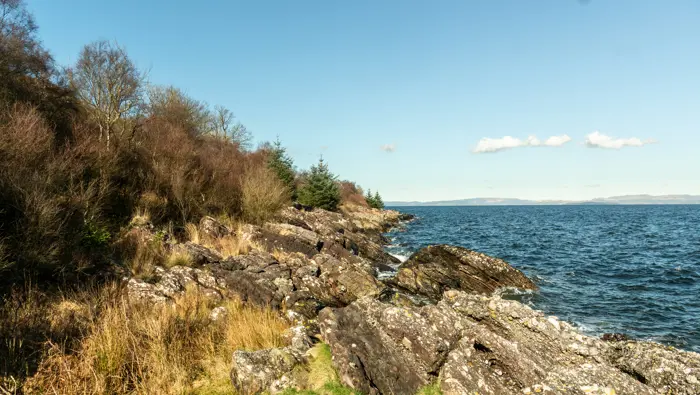 Coastline with trees on the left, rocks in the middle and sea on the right.