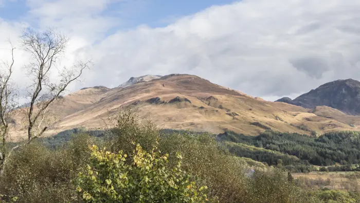  a view of mountains with forested valley and broad-leaf trees in the fore ground