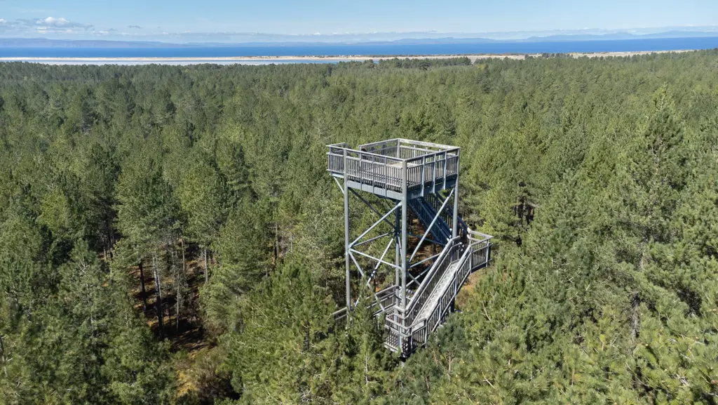 A wooden tower in the middle of a forest overlooking the sea