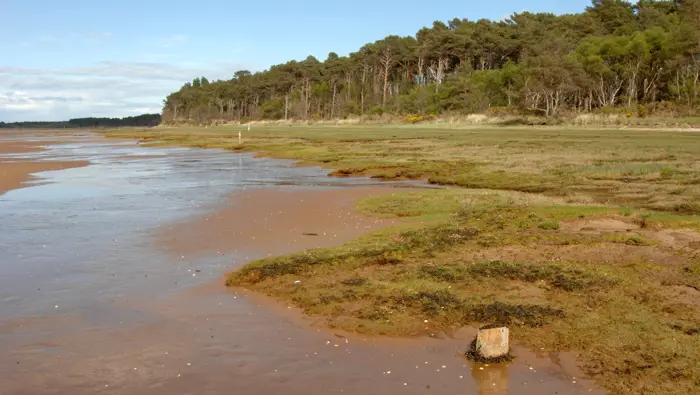 The Gut. View east over the saltmarsh and mudflats. Culbin forest Moray