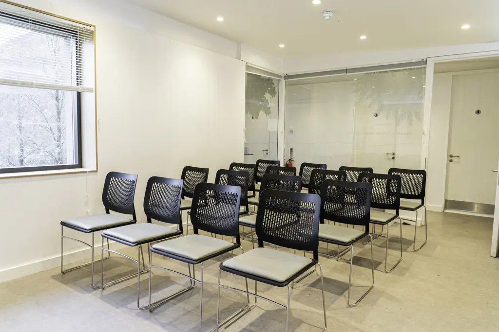 Chairs in a meeting room with a window and trees outside.