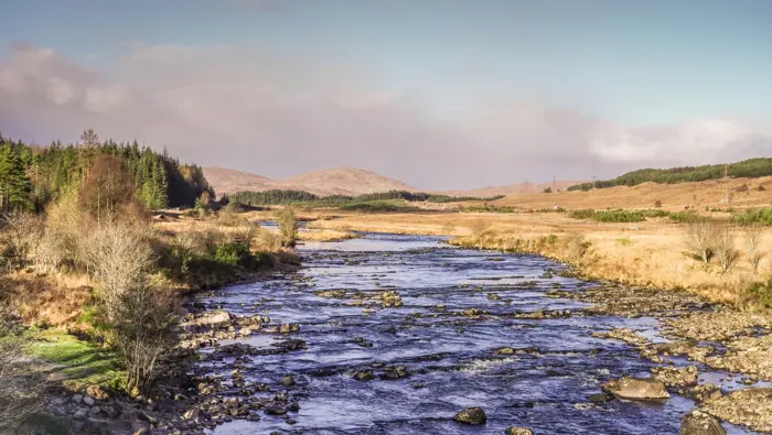 A rocky stream
