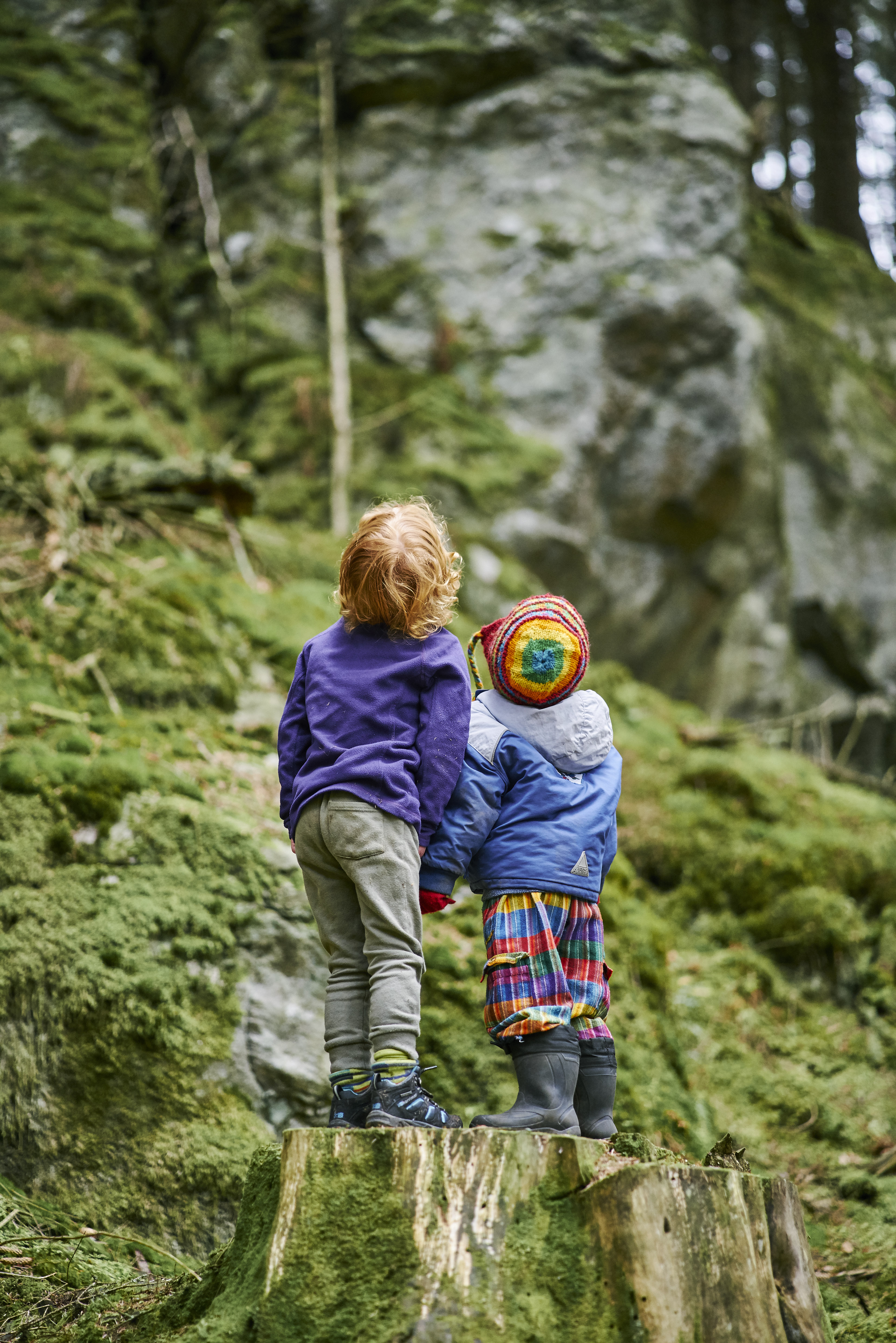 Two children (one in purple fleece, one with colourful woollen hat and rainbow trousers) standing on tree stump amidst greenery looking up to trees in Craigvinean Forest, Dunkeld