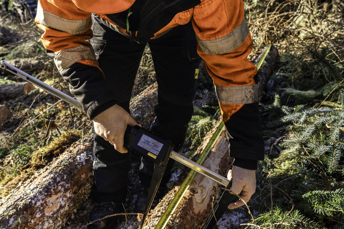 A person in safety gear measuring a felled tree