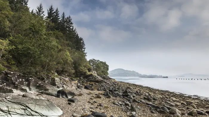 Coastal scene with trees on the left hand side and water on the right hand side of the image.