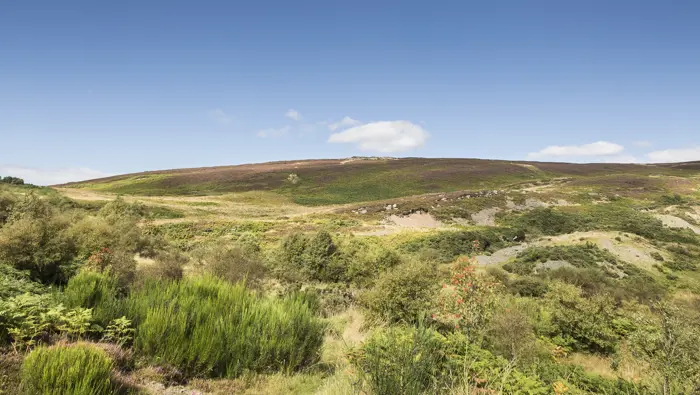 Bare hills at Balkello Forest in Tay, with a sunny blue sky.