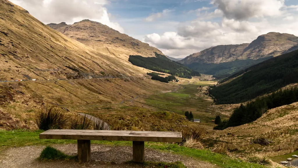 A bench on a hillside looking down a glen with trees.