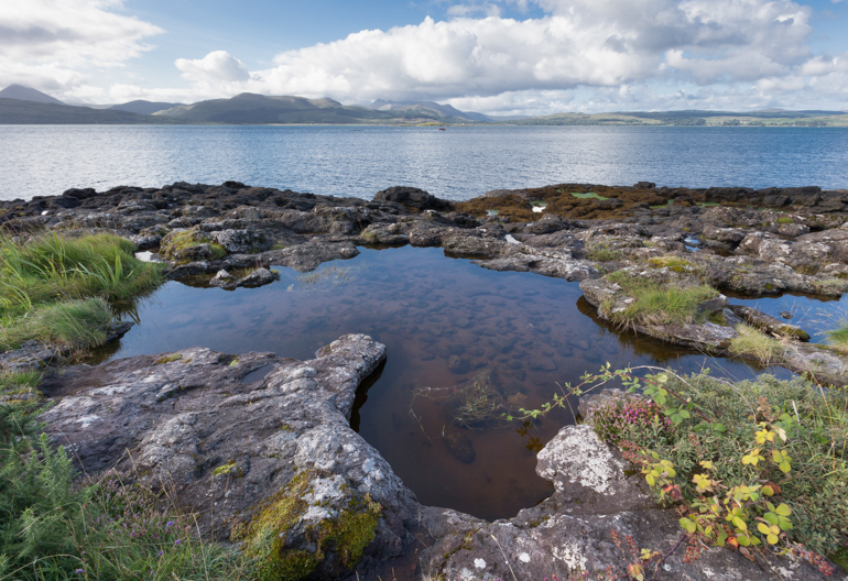 A small pool of water standing on a stony shore with natural grass