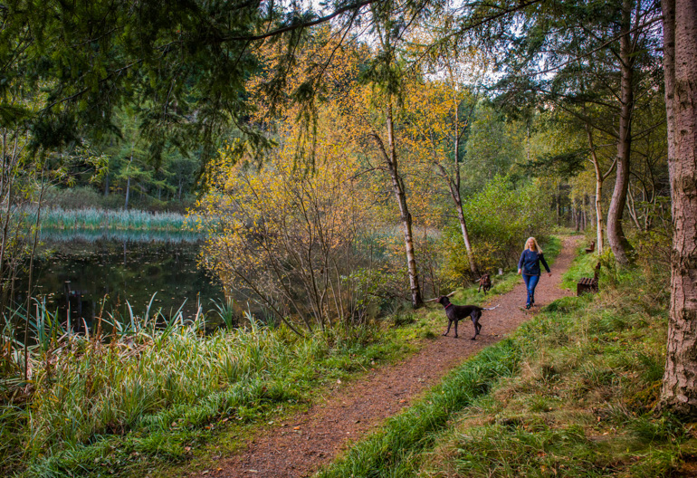 Glentress orders routes