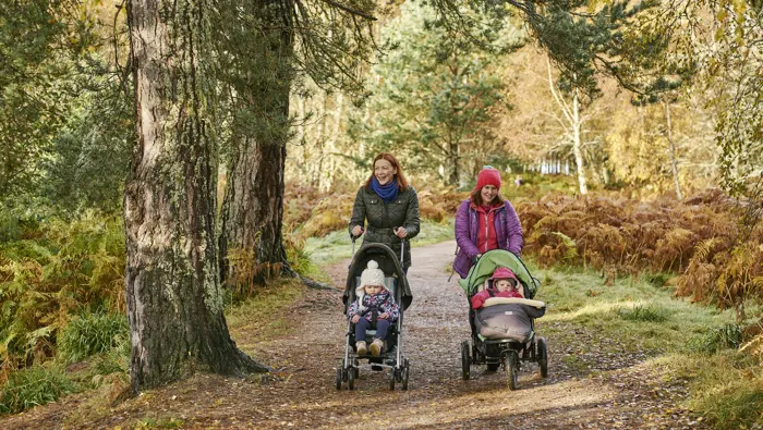Two people pushing buggies along a forest path.