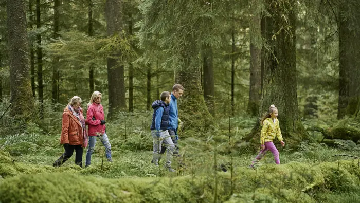 Mixed generation group of woman, mature woman, young boy and girl walking in woodland trail, Glenbranter Forest, near Cairndow