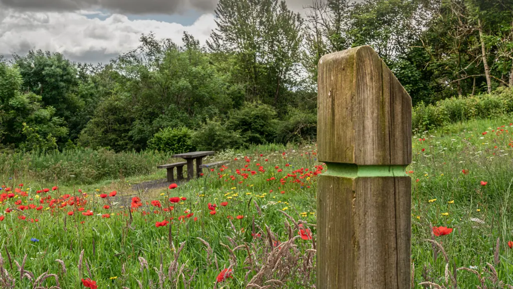 A picnic table behind a trail marker in a field of wild flowers