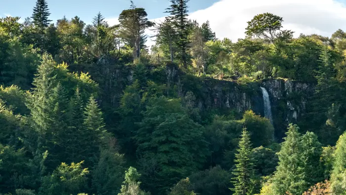 Waterfall and trees.