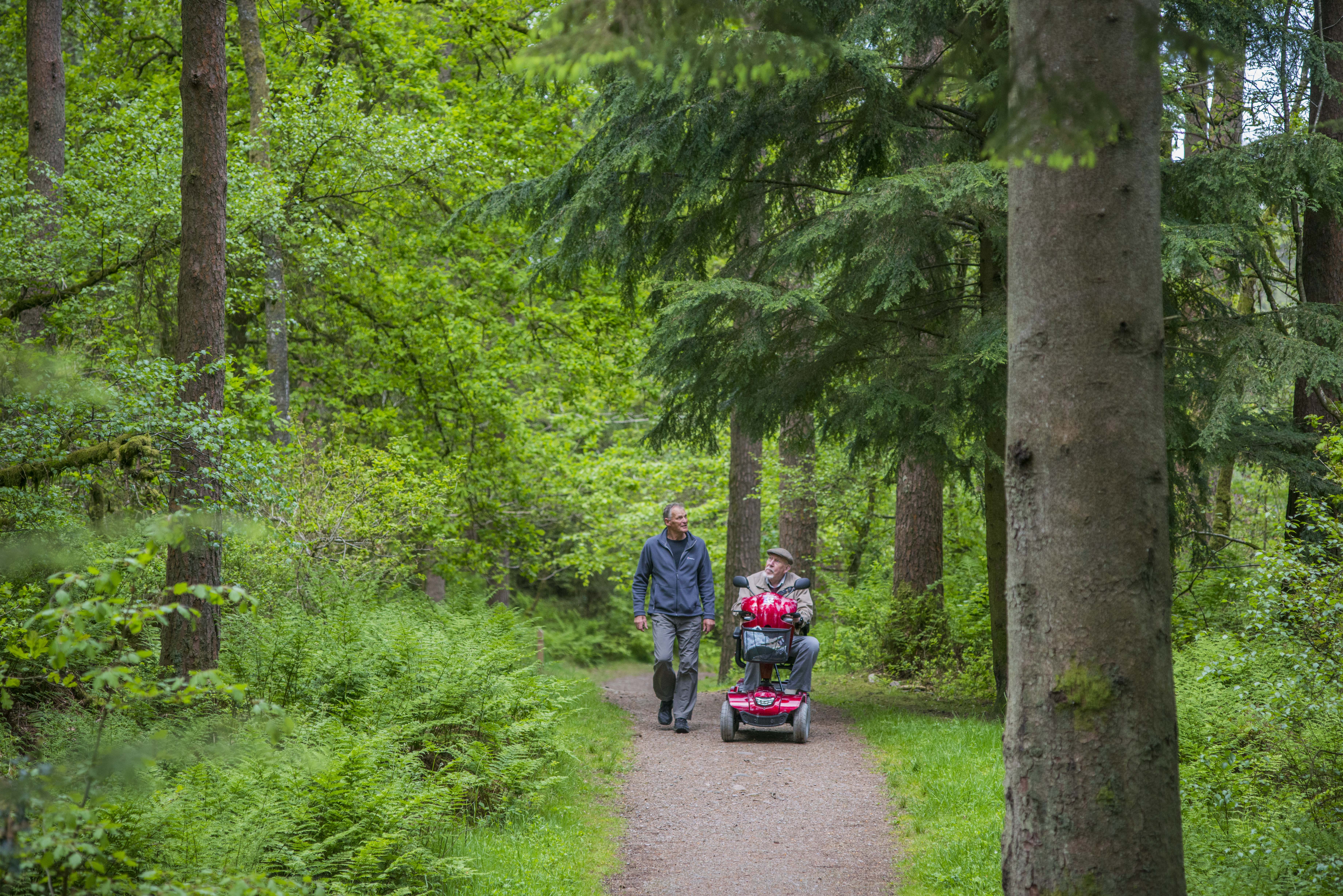 Mature man walks beside elderly man riding in mobility scooter on tree lined path, Dalbeattie Forest, near Dumfries