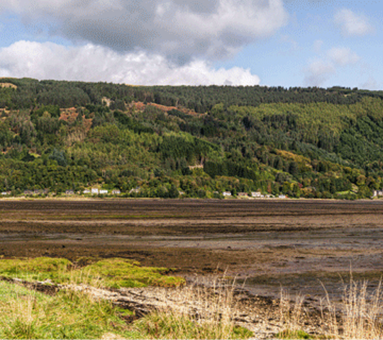 hillside slowly being clear cut