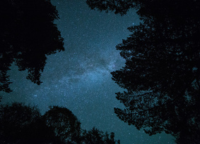 A night sky full of stars