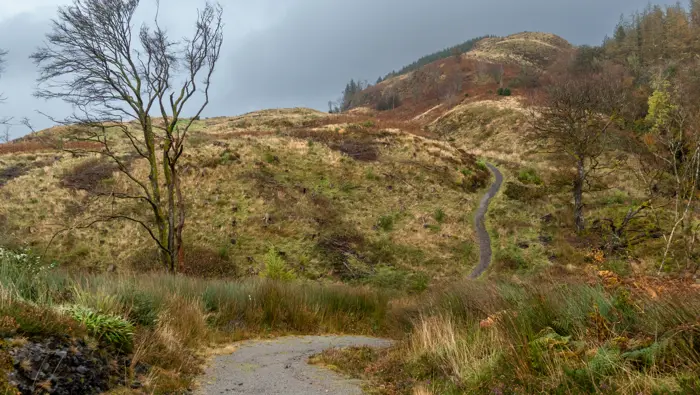 Beinn Lora Forest Trails