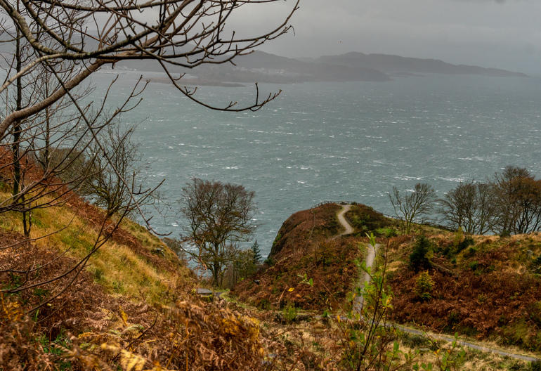 A walking path through a open ferned area overlooking the ocean 