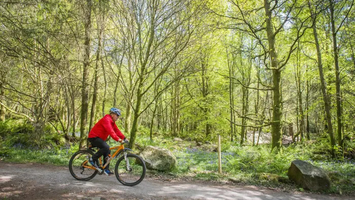 Cyclist on a trail with trees in the background.