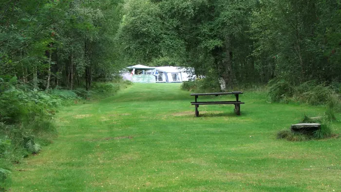 Grassy field surrounded by trees with a caravan in the distance