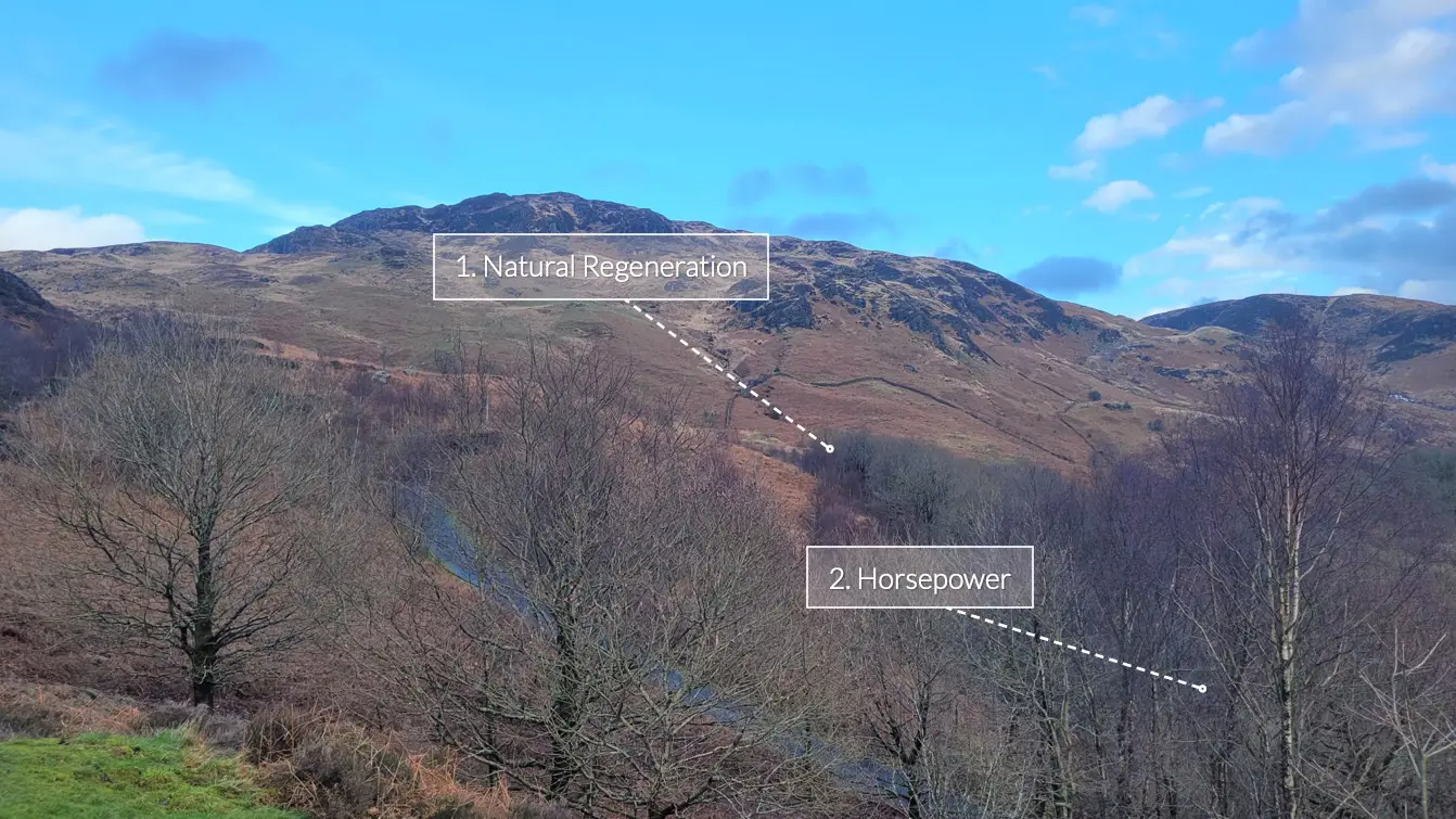 Bare hillside with woodland on lower slopes and blue sky above, with 2 text annotations