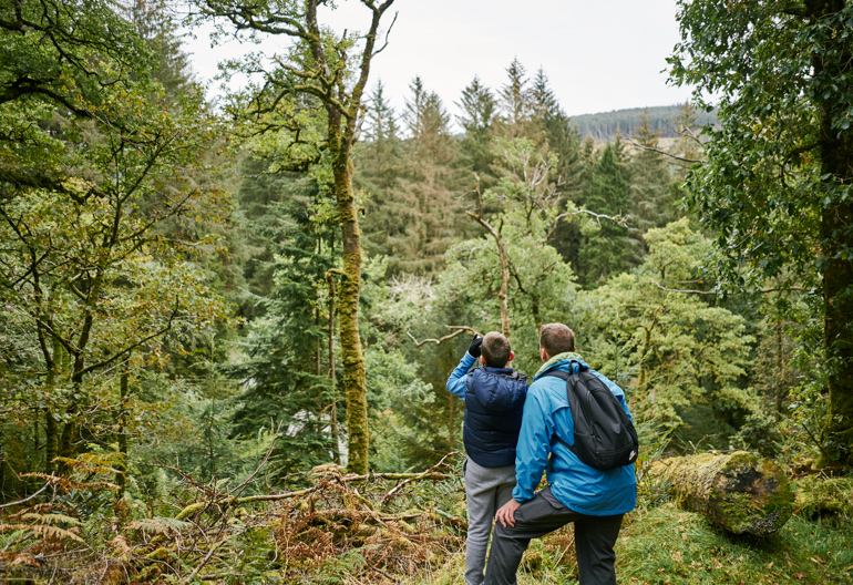 Man and boy look out over green forest of mixed trees to a distant forested hillside.