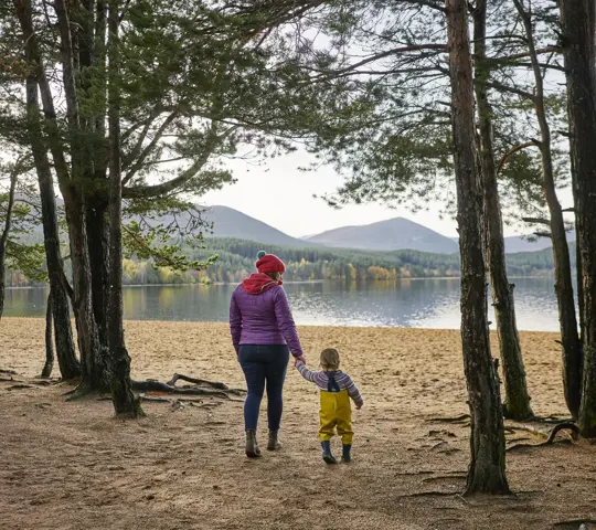 Parent and child walking through the trees to the beach.