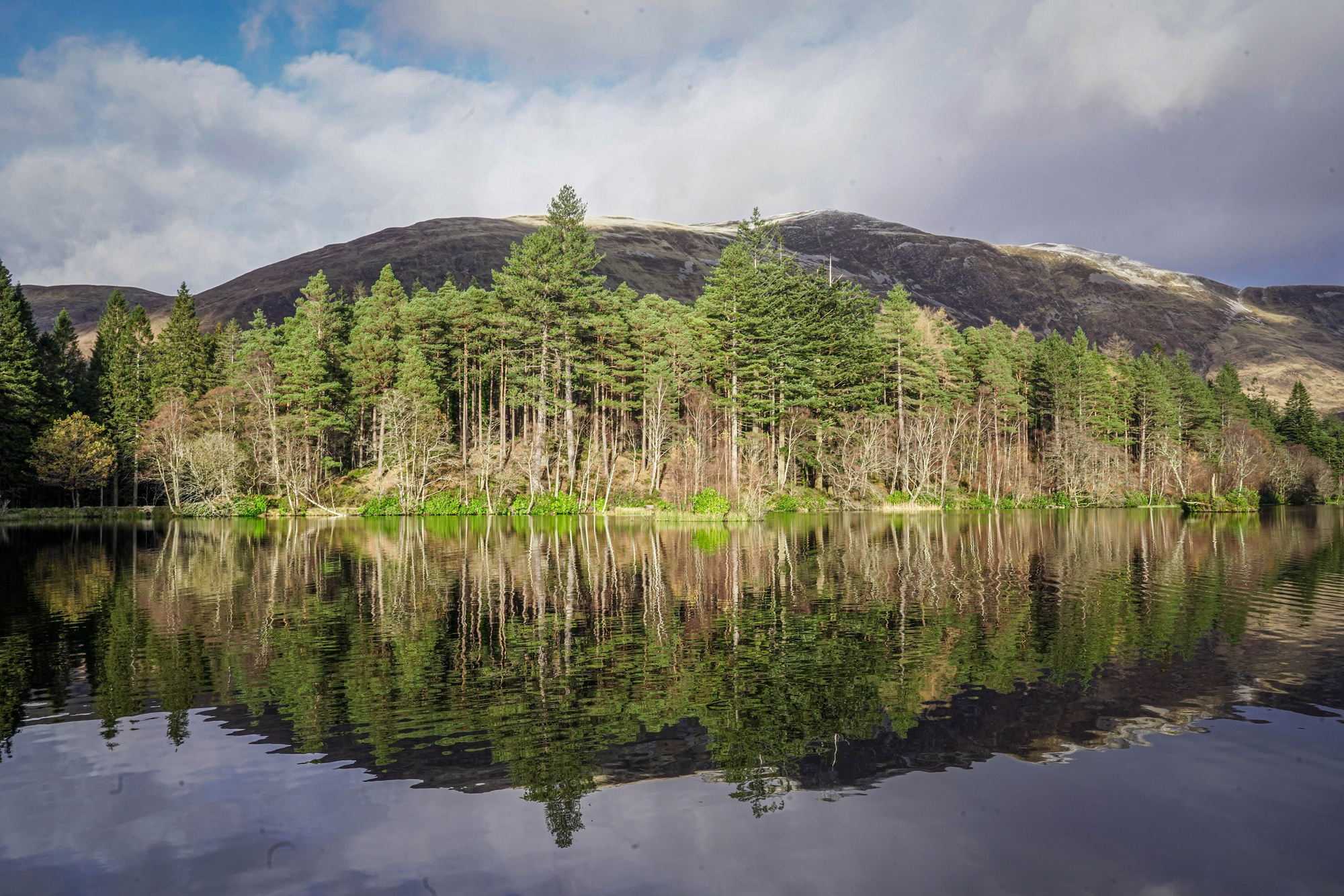 A calm lochan with trees along the shore and reflections on the water, hills in the background