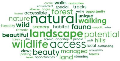 Scoping consultation feedback word cloud showing top 50 most commons words in response to the question: what is special about the forest and land in Glen Doll and Glen Prosen to you? Words are: natural, walking, fauna, unique, habitat, scenery, remote, forestry, wild, nature, accessible, forest, enjoy, opportunity, tracks, environment, diverse, corrie, angus, walks, special, fauna, unspoilt, trees, wildlife, access, local, people, outstanding, managed, doorstep, beauty, views, parking, forests, stunning, land, benefit, scenic