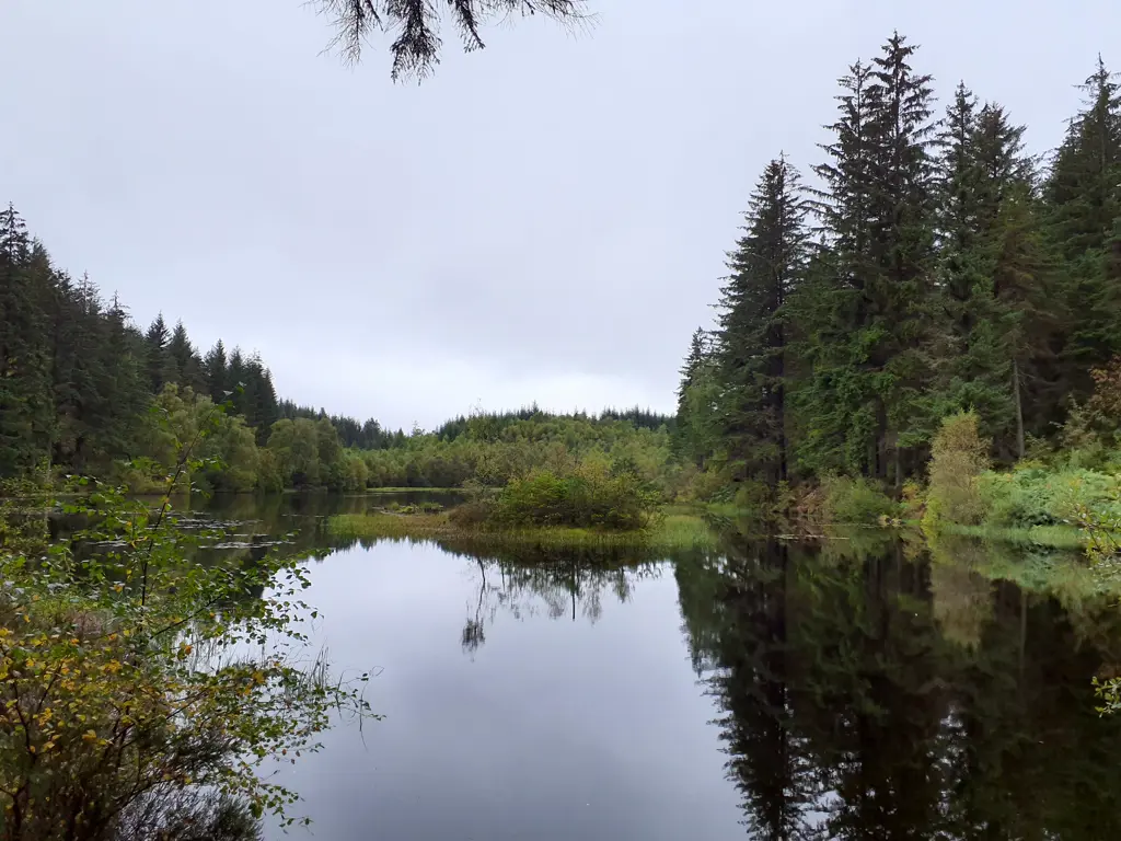 A body of water surrounded by conifers.