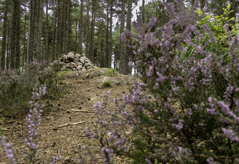 A stone carin with heather