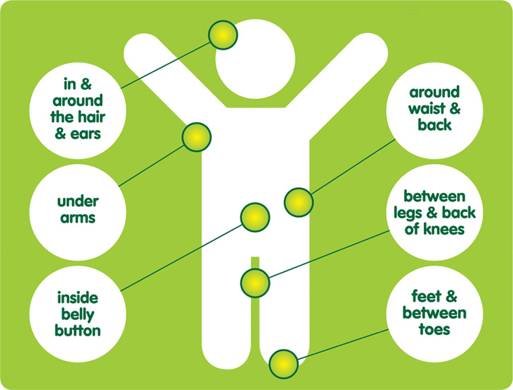 Illustrated figure of a person highlighting areas of the body where ticks can be hidden: in and around the hair and ears, under arms, inside belly button, around waist and back, etween legs and back of knees, feet and between toes