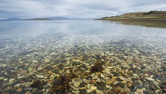 Looking down into the water at stones, rocks and seaweed at Broadford forest on the Isle of Skye