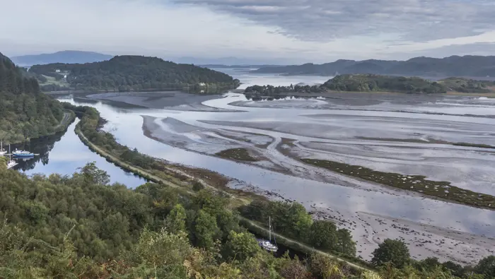 Looking down on a coastal inlet with trees in the foreground and hills in the background.