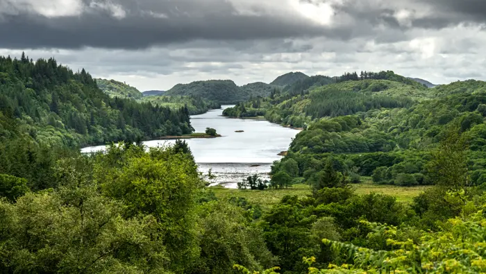 Green trees surrounding a lochan in the middle of the image.